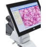 Microscopio Optika B-290 Profesional para Laboratorio